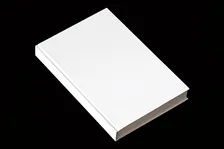 雑誌『広告』最新号の特集は「虚実」「ディズニーランドの虚構と現実」「プロレスとは何だろうか?」など全24記事