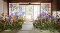 「そうだ 京都、行こう。」今春は寺院でアート空間「花の間」と「オリ...