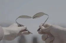 恋人の仲が深まり、恋活スポットとして今注目される彼と巡りたい“新”恋愛の聖地〈熊本・阿蘇市〉おでかけスポット７選