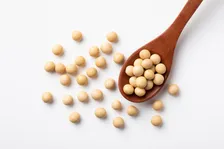 柔らかくて美味しい！かなり肉の味がする大豆ミートベスト３