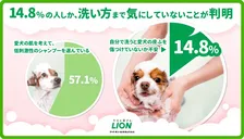 あなたの犬のシャンプーの仕方は大丈夫！？デリケートな犬の皮ふ守るには“もふもふ洗い”が重要！