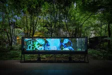 絶滅危惧種も生息。ビルの谷間に息づく大自然「大手町の森」×落合陽一のインスタレーション作品が公開中