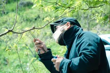 クラフトビールとバイオテクノロジーの二刀流！ 熊本発の酵母ライブラリーが世界を救う？