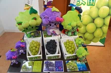 秋はアート満載の魅力的な岡山へ行こう！新橋の「とっとり・おかやま新橋館」では岡山の美味しいブドウを使ったスペシャルスイーツも提供