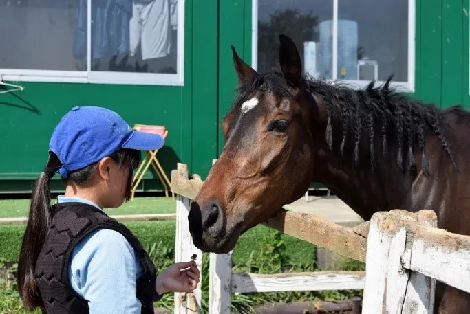 行き場のない引退馬のセカンドキャリアを促進