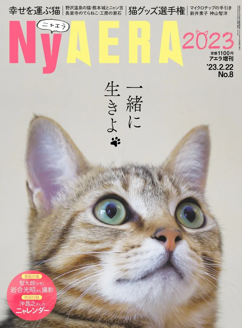 雑誌「AERA」が一冊まるごと猫化した「NyAERA2023」が発売！全国の幸せ...