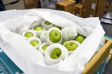 手のひらサイズがかわいい！ 梨とリンゴのような味のレアフルーツ“台湾ナツメ”って知ってる？