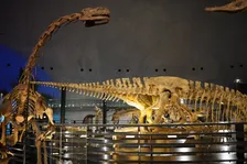 リニューアル「福井県立恐竜博物館」巨大スクリーンで恐竜映像も