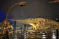リニューアル「福井県立恐竜博物館」巨大スクリーンで恐竜映像も