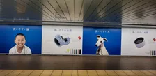 「洗いやすいモノ」並べた交通広告にクスッ！坊主少年、ワンちゃん、そして…？