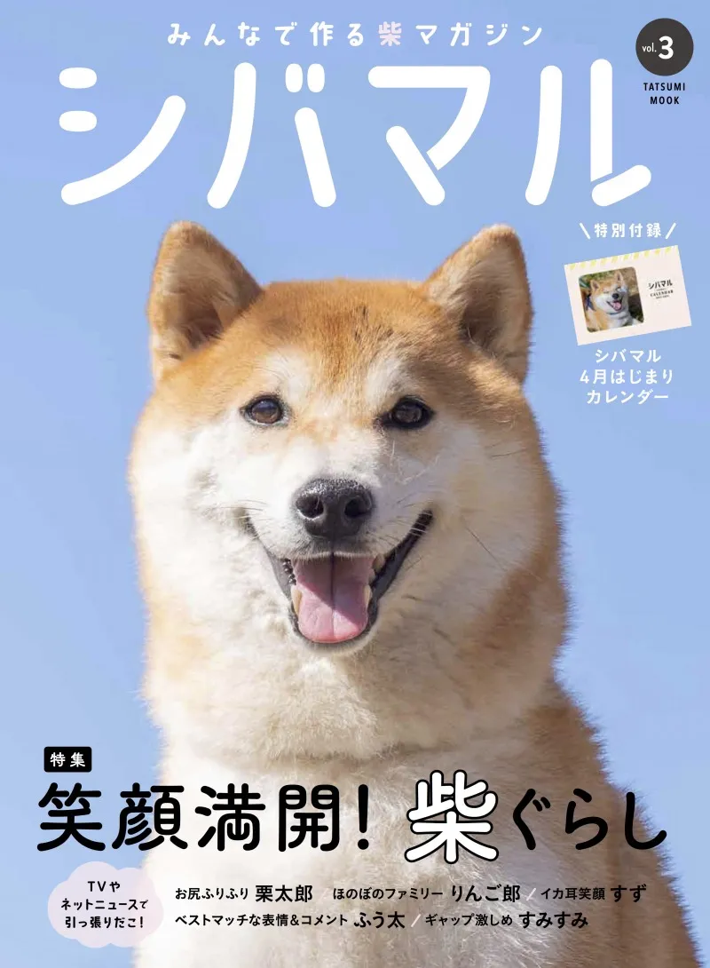 1冊まるごと柴犬だらけの柴犬マガジン「シバマル」にて誌面に登場する愛...