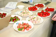 白いちごや深紅色のいちごなど希少品種が大集合「食べチョクいちご博2024」開催