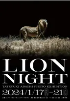 夜行性のライオンの真の姿を撮影した作品たちを展示。ネイチャーフォトグラファー・安達建之氏の写真展「LION NIGHT」が開催