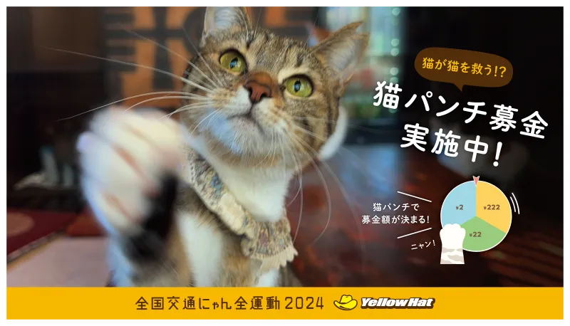 イエローハット、猫が猫を救う「猫パンチ募金」実施！保護・愛護団体に寄付