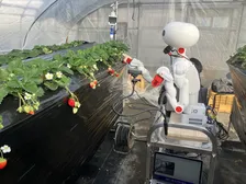 PwC財団が初のインパクトレポートを発刊！助成事業2024年度春期公募テーマも発表