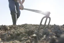 農業の未来や地球温暖化の防止に貢献。いま農業の分野で注目を集める「カーボンファーミング」とは