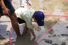 六本木ヒルズにある地上約45m、都心の屋上庭園で「田植え」イベントを開催！ファミリー参加で子供もいい体験に