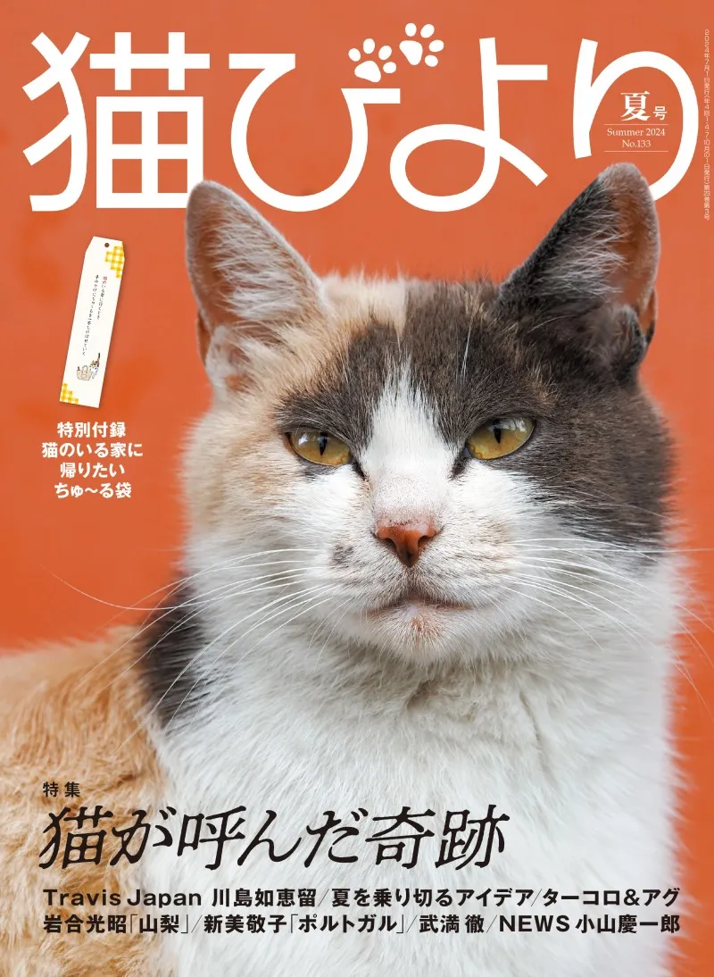 猫との奇跡のエピソードの数々を掲載！猫雑誌「猫びより」2024年夏号が...