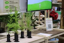 WOODコレクション2024「JAPAN ReWOOD」が開催！大人から子どもまで楽しく学べる環境イベント