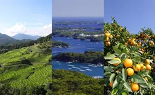 子育て世代の三重県への移住が増加中！三重県の魅力を伝える「三重県移住フェア」を名古屋・大阪にて開催