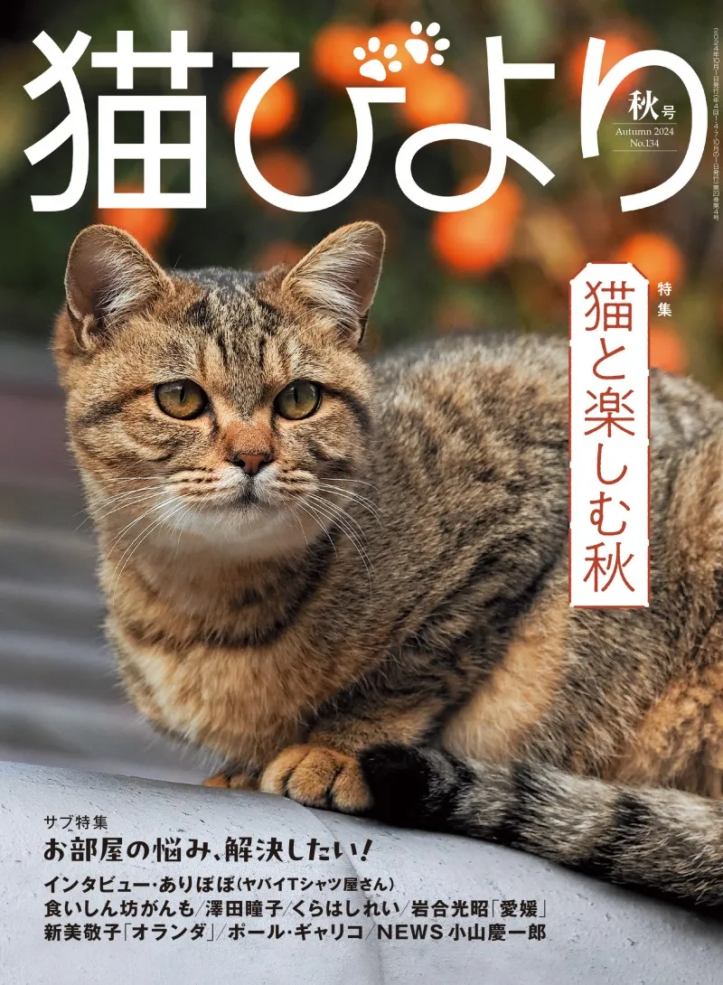 「猫びより」2024年秋号の特集は「猫と楽しむ秋」。秋が楽しく、より猫...