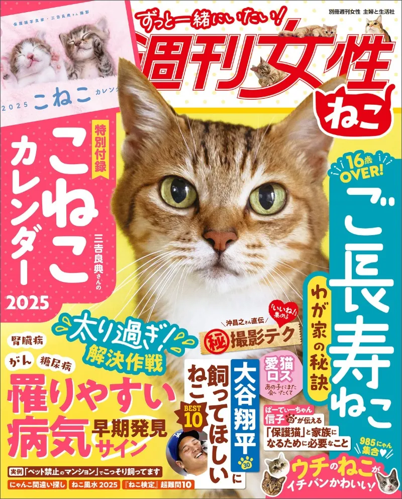 愛猫家の願いを詰め込んだ一冊「週刊女性 ねこ」が発売！ねこ好き必見の...