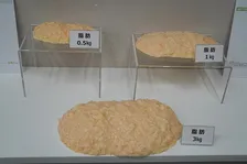 今年の冬におすすめ！医師が語る「MCT」と「オメガ3（アマニ油・えごま油）」の2つの油が健康にいいわけ