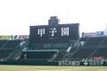 「甲子園フォント」お披露目！100年の伝統を未来へつなぐ新フォント