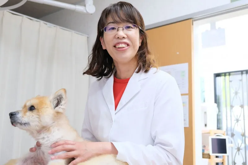 「食事で病気は防げる」——手作り療法食でペットと飼い主を支える獣医師...