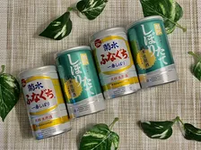 日本酒の初心者にもおすすめ！コンビニで買える「最強コスパ日本酒」飲んでみた