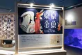 日本の金魚文化を学べる夏季限定イベント「東京金魚～時代を泳ぐ、小さ...