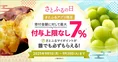 【まだ間に合う】ふるさと納税、ポイント付与禁止目前！ポイ活専門家が...