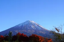 自然美を堪能と違った楽しみ方も！歴史や新たな富士登山の魅力が知れる富士山精進口登山道とは