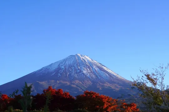 自然美を堪能と違った楽しみ方も！歴史や新たな富士登山の魅力が知れる富士山精進口登山道とは