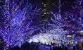 まだまだ楽しめるイルミネーション！2026年1月も開催中の東京のイルミネ...