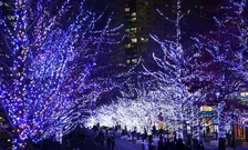 まだまだ楽しめるイルミネーション！2026年1月も開催中の東京のイルミネーション施設を紹介