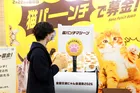 22kgピッタリで2,222円！猫の日イベント「猫パンチで保護猫支援」