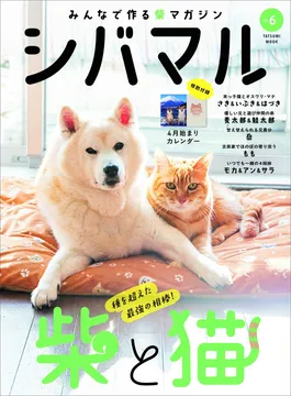 柴犬と猫の暮らしを大特集！柴犬専門マガジン「シバマル」最新号が発売！