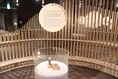 セイコーが歴史と体験展示で“時間”を見つめ直すイベント『Exhibition 時...