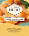 愛媛の逸品がAKOMEYA TOKYOに集結！　鯛めしやみかんジュースなど全国6店舗で期間限定販売