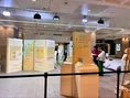 生理のつらさは、みんな同じじゃない！ツムラ「違いを知ることからはじ...