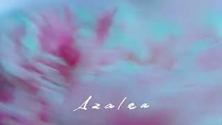 米津玄師  Kenshi Yonezu - Azalea