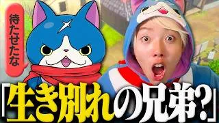 コイツ...ただの猫じゃない！？