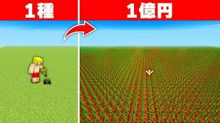 一粒の種から億万長者になるまで終われません！【マイクラ】