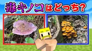 絶対に食べてはいけない毒キノコはどっち！？【マイクラ】