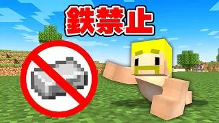 鉄禁止の世界でエンドラ討伐！【マイクラ】