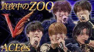 ACEes【真夜中のZOO】Arena Tour 2026 "V" より
