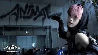JO1 | 'ANIMAL' Official MV