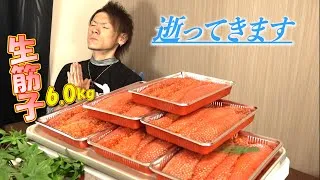 【生筋子】値段高騰？関係ないねぇ！！いくらでも買うさ！！※５合飯だけのプチドカ食い