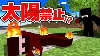 太陽に当たっては行けない世界でエンドラ討伐【マイクラ】